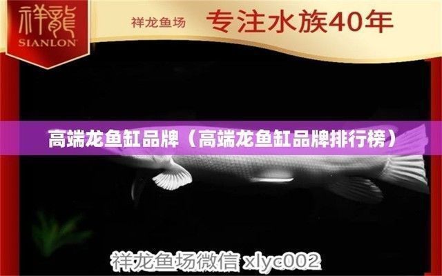 龍魚缸品牌十大排名vs祥龍魚場：龍魚缸品牌十大品牌排名與祥龍魚場口碑評價如何 vs祥龍魚場 第4張