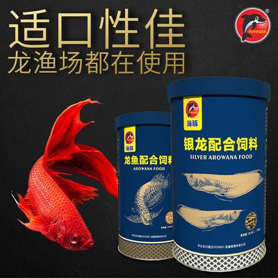 龍魚不吃食是怎么回事：龍魚不吃食可能是多種原因造成的，水族專家或獸醫(yī)獲取幫助 水族問答 第1張