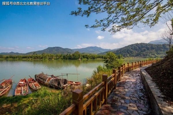 龍魚不吃食物好久嘴里吐綠色的東西怎么回事呀：為什么龍魚在不吃食物的時候，會從嘴里吐出綠色的東西？ 水族問答 第1張