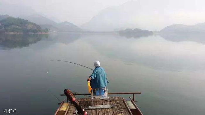 龍魚不吃食狀態(tài)不好怎么回事兒：關(guān)于龍魚不吃食的問題 水族問答 第2張