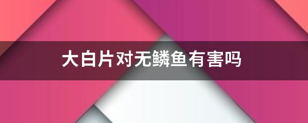 龍魚吃大白片會死嗎vs祥龍魚場：紅龍魚養(yǎng)殖技術 vs祥龍魚場 第35張