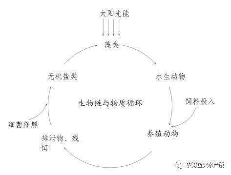 龍魚感染寄生蟲怎么辦vs祥龍魚場：如何處理龍魚感染寄生蟲 vs祥龍魚場 第1張