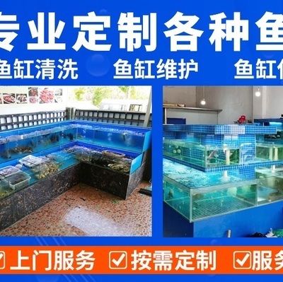 龍魚好壞vs祥龍魚場：如何判斷龍魚好壞 vs祥龍魚場 第3張