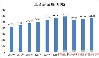 龍魚蹭腮：關(guān)于龍魚蹭腮的問題 水族問答 第1張