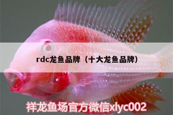 龍魚缸品牌排名：2018龍魚缸品牌排名 龍魚百科 第4張