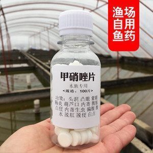 甲硝唑治療龍魚用量vs祥龍魚場：甲硝唑治療龍魚用量