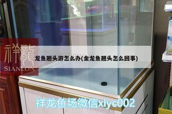 龍魚仰頭在水面游正常嗎：龍魚仰頭在水面游動并不正常，可能是多種原因引起的 龍魚百科 第5張