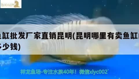 龍魚查詢真?zhèn)尉W(wǎng)站vs祥龍魚場(chǎng)：—龍魚查詢真?zhèn)尉W(wǎng)站和祥龍魚場(chǎng)在龍魚鑒定服務(wù)方面的優(yōu)劣