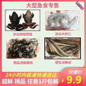 龍魚飼料魚消毒用什么好：龍魚飼料魚消毒方法，龍魚飼料魚消毒的注意事項 龍魚百科 第4張