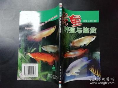 龍魚養(yǎng)殖技術(shù)教材電子版：龍魚養(yǎng)殖技術(shù)教材電子版教程 龍魚百科 第1張