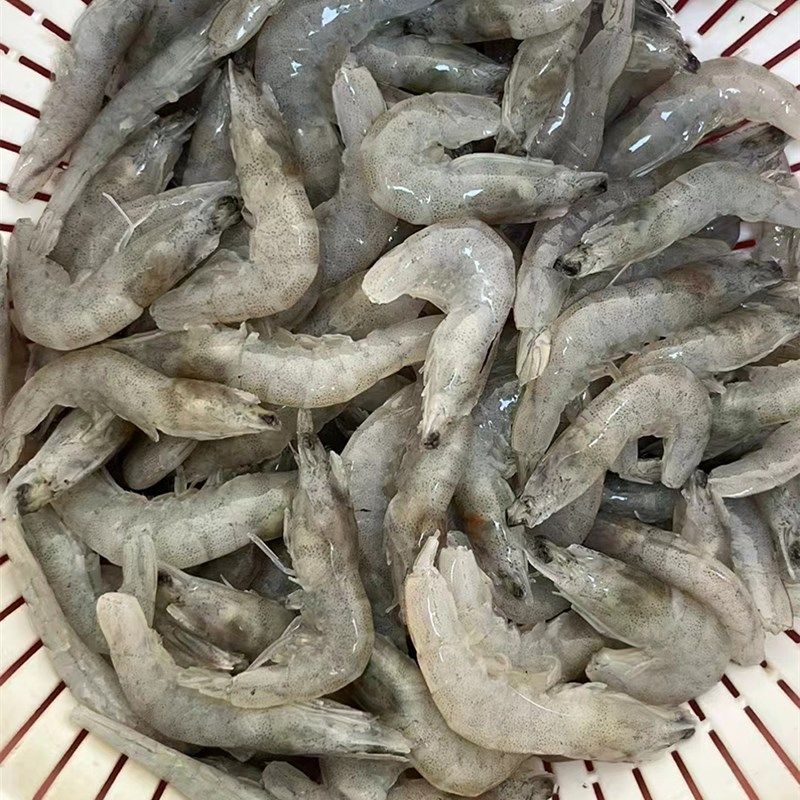 龍魚魚食制作方法：制作龍魚魚食的流程 龍魚百科 第3張