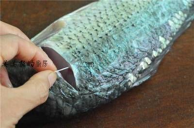 龍魚鱗上有白點(diǎn)為什么：龍魚鱗片上出現(xiàn)白點(diǎn)是怎么回事 龍魚百科 第1張