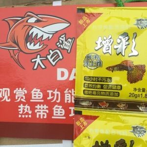 龍魚吃食不猛：如何判斷龍魚是否真的餓到了需要猛吃的程度 水族問答