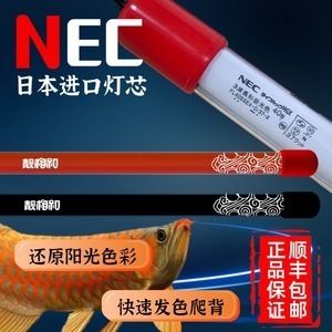 龍魚發(fā)色專用燈圖片大全集：龍魚發(fā)色專用燈的圖片大全 龍魚百科 第3張