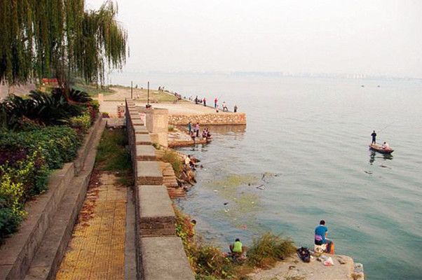 龍魚吃食又吐出來正常嗎：龍魚在吃食后為何會吐出食物？ 水族問答 第1張