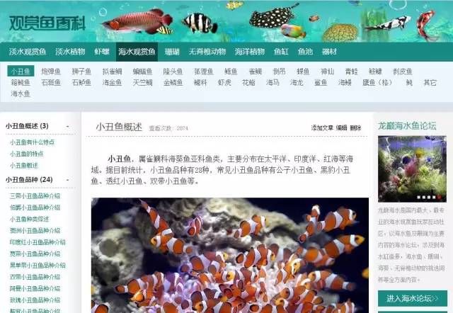 龍魚是淡水還是海水養(yǎng)的：龍魚是淡水魚，應(yīng)在淡水環(huán)境中飼養(yǎng) 龍魚百科 第4張