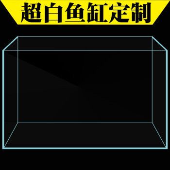 龍魚缸寬度45：一個(gè)寬度為45厘米的龍魚缸寬度45適合哪種龍魚 龍魚百科 第2張