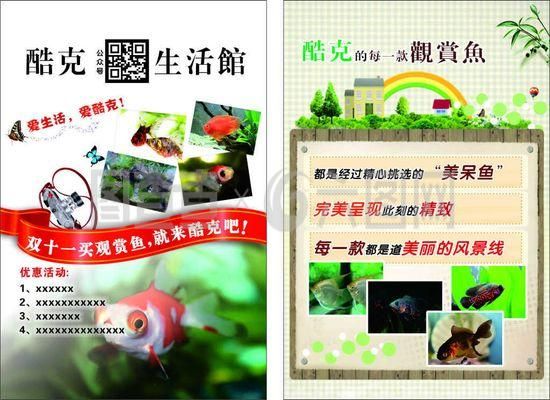 龍魚吃蝦的好處和壞處：食用龍魚的益處及潛在危害 水族問答 第1張