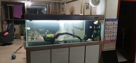 龍魚缸制作過程圖解：龍魚缸制作過程圖解大全 龍魚百科 第5張