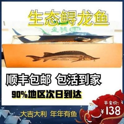 尋龍魚(yú)多少錢(qián)一斤：尋龍魚(yú)市場(chǎng)價(jià)格波動(dòng) 龍魚(yú)百科 第4張