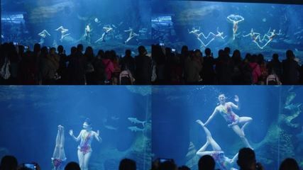 祥龍水族館人魚表演時(shí)間表：祥龍水族館人魚表演 龍魚百科 第3張