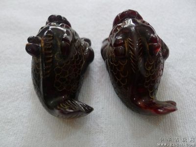 龍魚(yú)交易平臺(tái)：龍魚(yú)交易平臺(tái)安全指南，龍魚(yú)交易平臺(tái)新手攻略 龍魚(yú)百科 第3張