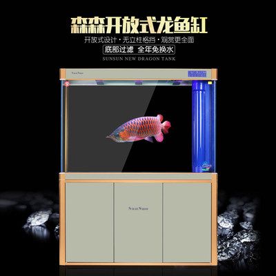 龍魚有小的嗎：體型較小的龍魚品種 龍魚百科 第4張