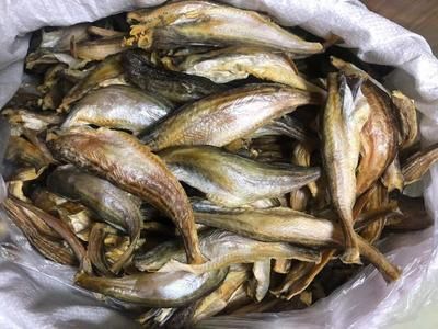 龍魚批發(fā)市場在哪里進(jìn)貨好：龍魚批發(fā)市場價格查詢 龍魚百科 第4張