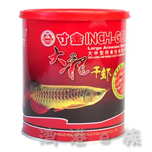 龍魚喂魚糧好嗎視頻：喂龍魚吃魚糧有什么優(yōu)缺點？ 龍魚百科 第5張