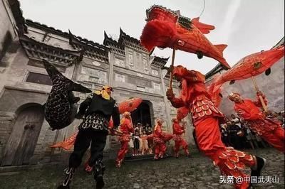 龍魚薩伊藍(lán)混養(yǎng)怎么養(yǎng)：龍魚和薩伊藍(lán)魚混養(yǎng)的注意事項(xiàng) 龍魚百科 第5張