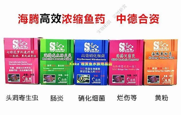 龍魚細菌性腸炎怎么治：龍魚專用驅(qū)蟲藥的使用方法 龍魚百科 第3張