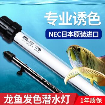 龍魚發(fā)色專用燈圖片大全：如何選擇龍魚發(fā)色專用燈 龍魚百科 第3張