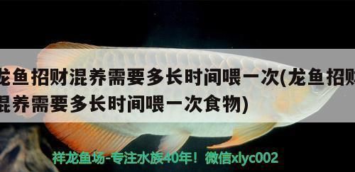 龍魚招財混養(yǎng)需要多長時間喂一次：龍魚招財混養(yǎng)喂食頻率和時間應(yīng)根據(jù)生長階段、季節(jié)溫度及營養(yǎng)需求 龍魚百科 第2張