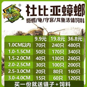 龍魚專用飼料價格區(qū)間：龍魚專用飼料價格區(qū)間廣泛且多樣化高端龍魚飼料價格 龍魚百科 第1張