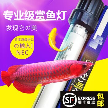 龍魚發(fā)色燈什么牌子好用又實惠：選擇合適的龍魚發(fā)色燈不僅能促進龍魚的健康成長還能提升觀賞價值 龍魚百科 第4張