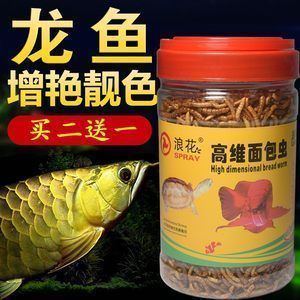 養(yǎng)龍魚放黃粉行嗎：養(yǎng)龍魚使用黃粉時(shí)需要注意以下幾點(diǎn)，養(yǎng)龍魚需要注意 龍魚百科 第2張