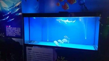 性價比高的龍魚缸品牌：性價比較高的龍魚缸品牌閩江水族魚缸價格對比 龍魚百科 第4張