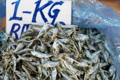 龍魚用什么鹽腌制好：龍魚的腌制方法 龍魚百科 第4張