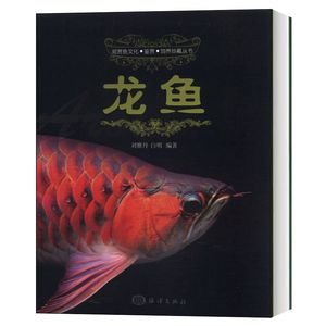 龍魚是龍還是魚：龍魚是魚而不是龍 龍魚百科 第4張