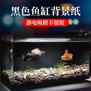 龍魚(yú)魚(yú)缸背景紙什么顏色好：選擇龍魚(yú)魚(yú)缸背景紙的顏色需要綜合考慮多種因素 龍魚(yú)百科 第4張