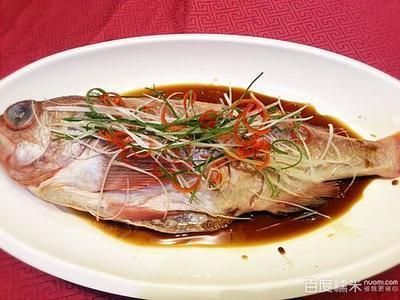 雷龍魚吃什么飼料長得快：雷龍魚喂食頻率調(diào)整方法雷龍魚喂食頻率調(diào)整方法 龍魚百科 第1張