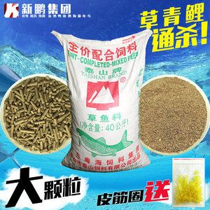 如何選擇優(yōu)質(zhì)的魚餌料：春季釣魚用什么魚餌好肥水塘釣魚餌料保存技巧有哪些 龍魚百科 第4張