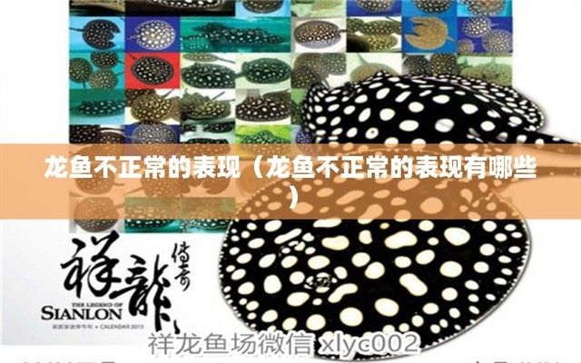 龍魚不正常的幾個狀態(tài)是什么：如何判斷龍魚的健康狀態(tài) 龍魚百科 第4張