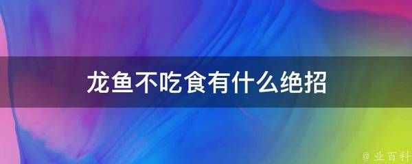 龍魚(yú)不吃食有什么絕招：如何判斷龍魚(yú)是否消化不良，龍魚(yú)厭食怎么變換食物，龍魚(yú)環(huán)境壓力緩解方法 龍魚(yú)百科 第1張