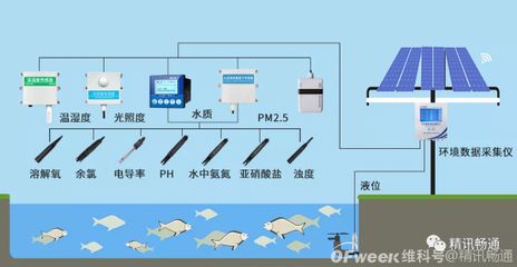 控制光照對水質(zhì)的具體操作方法：控制光照是改善和維持水質(zhì)的關(guān)鍵方法 龍魚百科 第4張