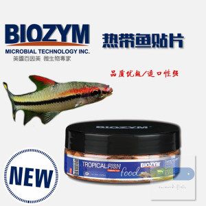 龍魚的水質要求：關于龍魚的問題 水族問答 第2張