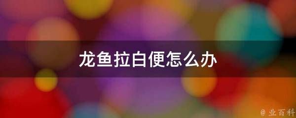 龍魚拉白便vs祥龍魚場：如何預防龍魚拉白便 vs祥龍魚場 第5張