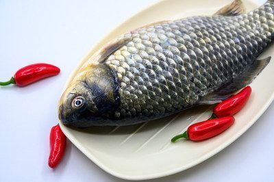 龍魚(yú)能吃嗎怎么做法vs祥龍魚(yú)場(chǎng)：如何辨別龍魚(yú)品質(zhì) vs祥龍魚(yú)場(chǎng) 第5張