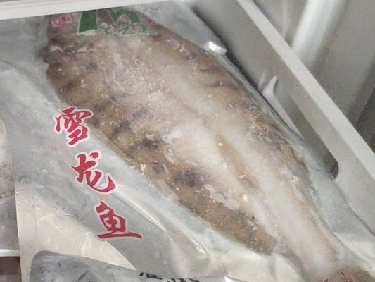 龍魚低頭游怎么回事：龍魚突然低頭游動怎么辦 龍魚百科 第1張