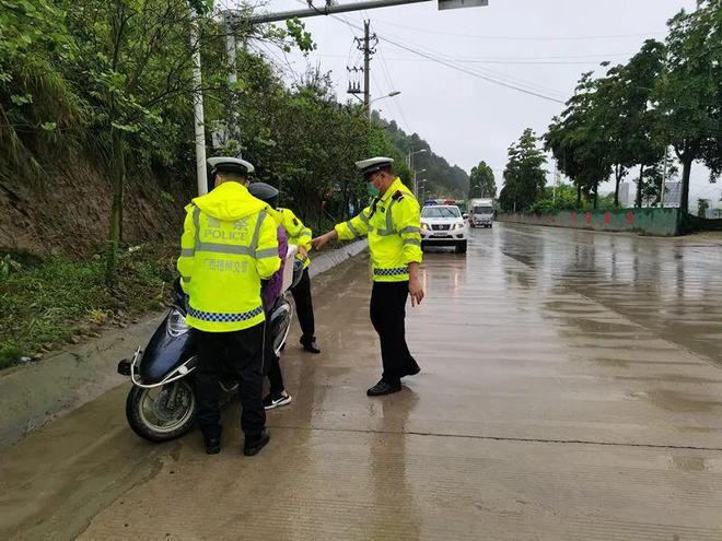 龍魚牌油漆價格多少：龍魚牌油漆市場口碑評價：龍魚牌油漆顏色選擇指南 龍魚百科 第4張